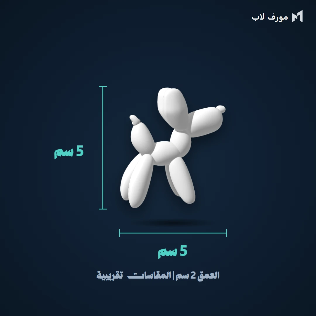 مقاس ميدالية دمية البالون: العرض 5 سم والارتفاع 5 سم والعمق 2 سم